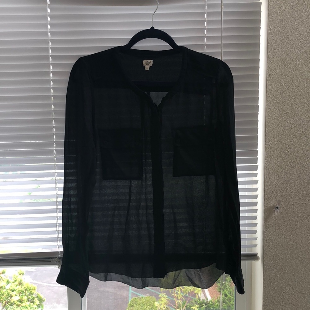Sheer Silk Wilfred Blouse from Aritzia